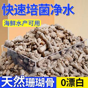 珊瑚骨滤材鱼缸过滤材料海鲜水产养殖鱼池珊瑚石底砂水族箱造景沙