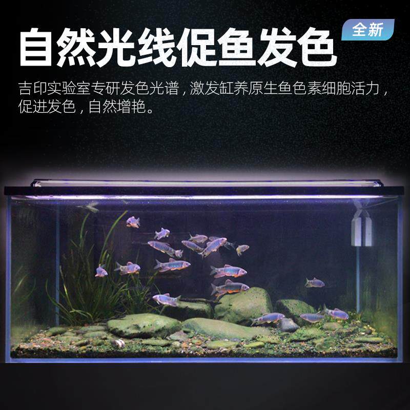 吉原生吉印i7原鱼业防灯爆灯照明水le藻d用原生溪流缸灯潜印水鱼图片