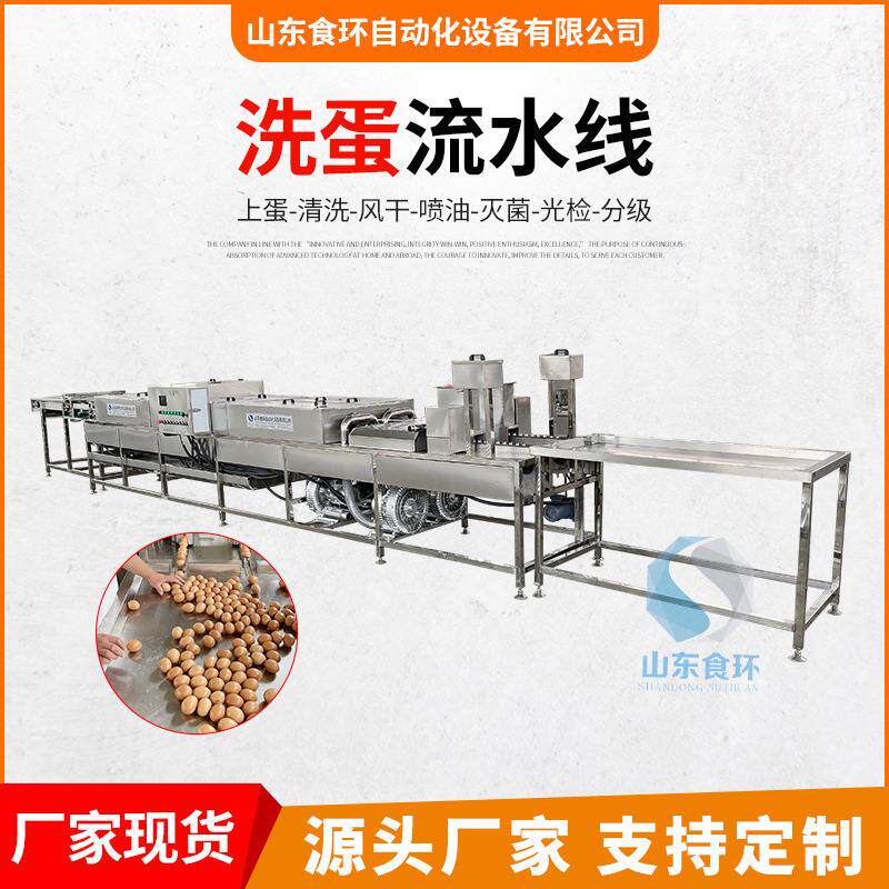 养殖场商用鸡鸭蛋类洗蛋机 蛋类多排洗蛋流水线 蛋电子重量分级