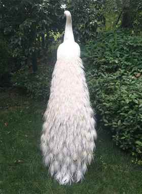 新款彷真白色羽毛拖尾孔雀婚庆摆设舞台演出道具标本摆件动物模型