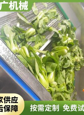 速冻西兰花清洗漂烫机 田七材喷淋冲洗机 红薯清洗加工流水线