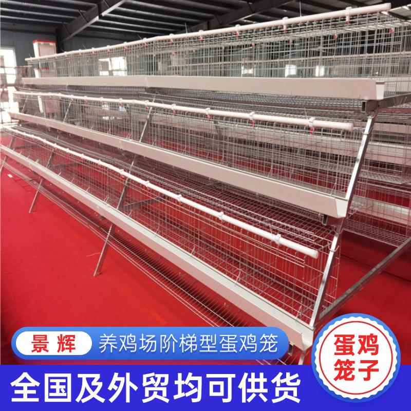 外贸阶梯蛋鸡笼厂家冷镀锌三层五门阶梯蛋鸡笼家用养殖设备定制