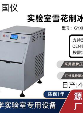 实验室雪花制冰机全自动小型雪花机跨境出口制冰机CE认证定制厂家