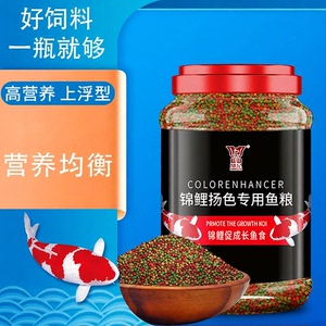 观赏鱼小金鱼金鱼鲤鱼观赏鱼饲料