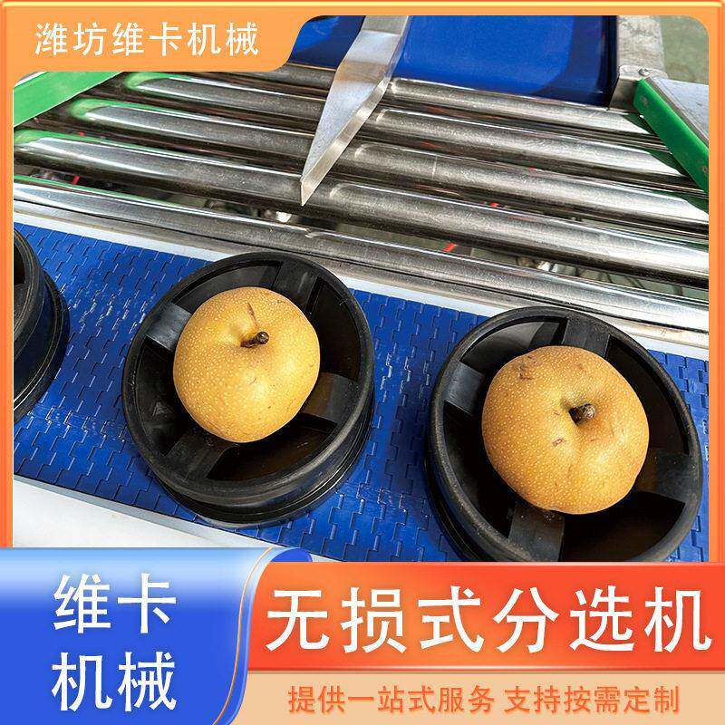 水蜜桃称重分选机水果猕猴桃分拣选果机