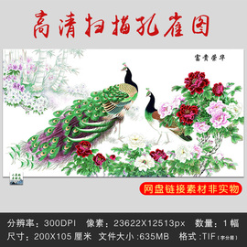 高清扫描孔雀图花开富贵荣华工笔牡丹花挂画客厅装饰画电子版素材