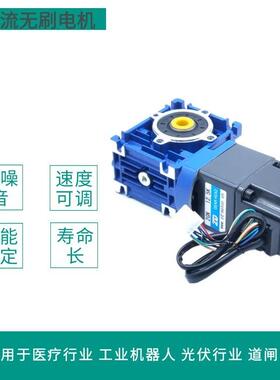 Z2BLD25-24GN-2GN40K直流无刷减速马达控制器24V 25WL型电机