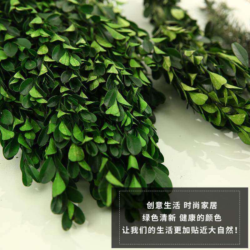 永生花黄杨叶干花花束手工diy创意花材居家装饰拍摄叶子原料