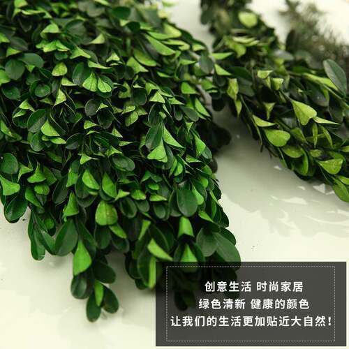 黄杨叶生绿植然绿作树叶手工干花黄杨叶天树枝韩式永花束制材料家