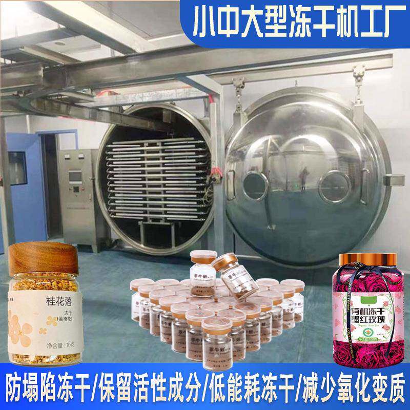桂花冷冻干燥机源头工厂 水蛭冻干粉机器能耗低 玫瑰花真空冻干机