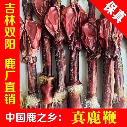 吉林梅花鹿鞭干整根鹿茸泡酒鹿鞭酒 鲜鹿鞭 鞭带尾巴正品产地直发