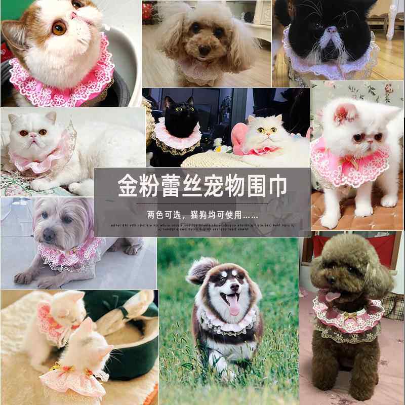 宠物蕾丝口水巾宠物装饰狗狗围巾柯基美短猫狗通用装饰品金粉世家