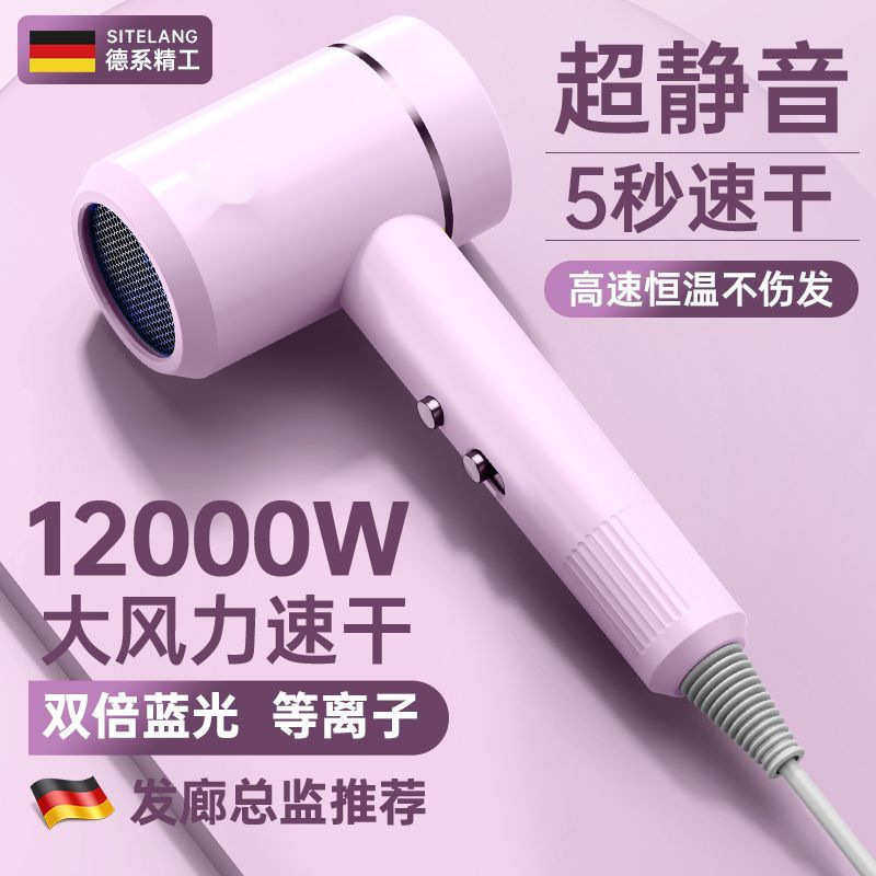 电吹风机家用高速大功率速干负离子冷风筒发廊大风力工厂一件批发