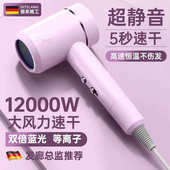 电吹风机家用高速大功率速干负离子冷风筒发廊大风力工厂一件批发