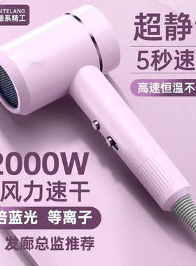 电吹风机家用高速大功率速干负离子冷风筒发廊大风力工厂一件批发