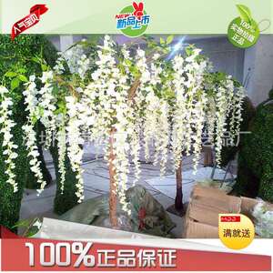 厂家供应豆花树 广场办公室绿化造景树 展览会酒店休闲装饰树