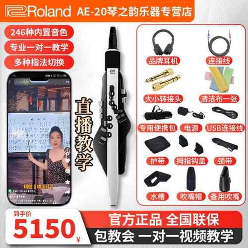 罗兰电吹管乐器ae20高级进口专业电子萨克斯新型电葫芦丝乐器大全