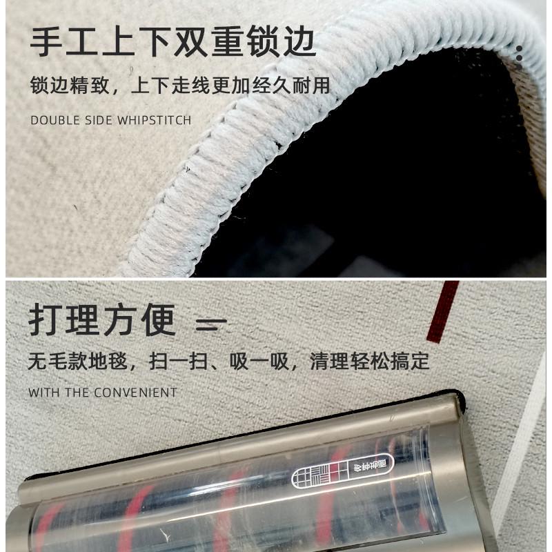 地毯客厅轻奢网红现代简约沙发茶几垫隔音卧室家用地垫大包邮新品