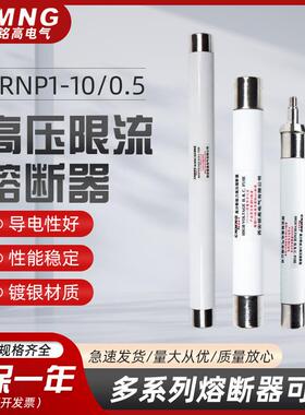 高原型12KV互感器保护高压熔断器10KV高压保险管25*280mm0.5A1A2A