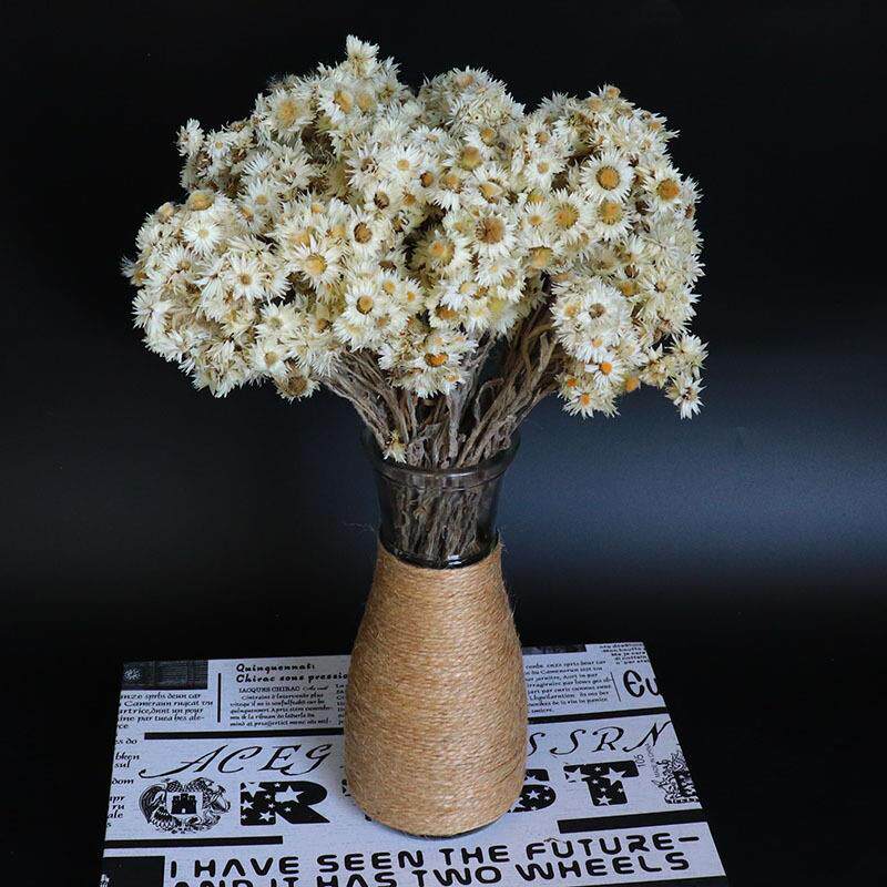 新款直销岩石花干花花束白色小菊花雏菊花民宿插花配饰ins风文艺