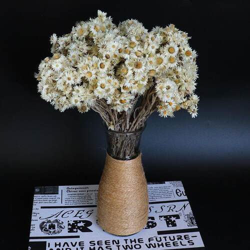新款直销岩石花干花花束白色小菊花雏菊花民宿插花配饰ins风文艺