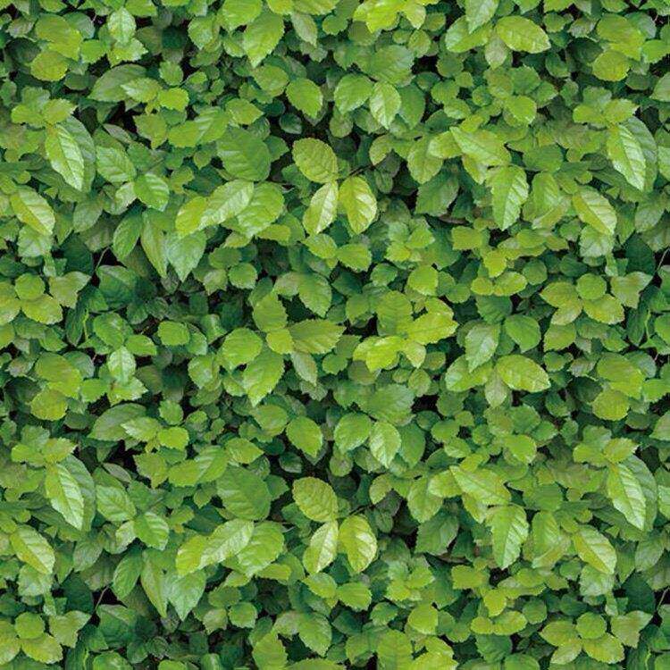 草坪墙壁贴纸翻新店铺清新绿叶墙纸餐厅客厅背景墙贴自粘防水壁纸