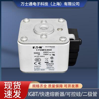 熔断器170M5458 170M5459 170M5460 170M5461 170M5462 170M5463