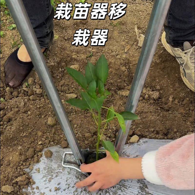 移苗种栽苗器打孔器种菜农用工具不锈钢取土器辣椒玉米西瓜栽苗