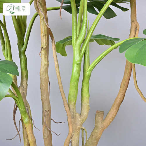 热带仿真绿植大型带须龟背树盆栽室内客厅装饰摆件造景假植物龟背