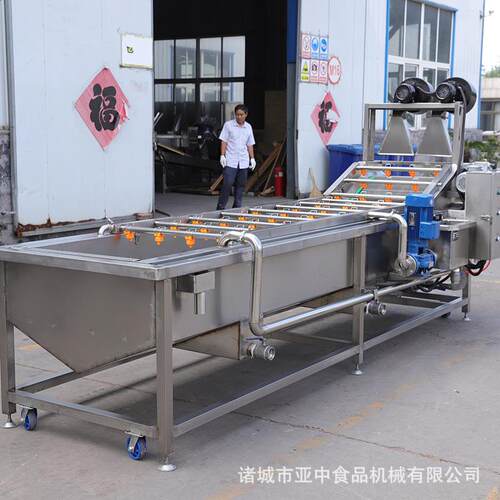果蔬清洗机全自动大枣黄花菜洗菜设备喷淋式气泡清洗机水果清洗机