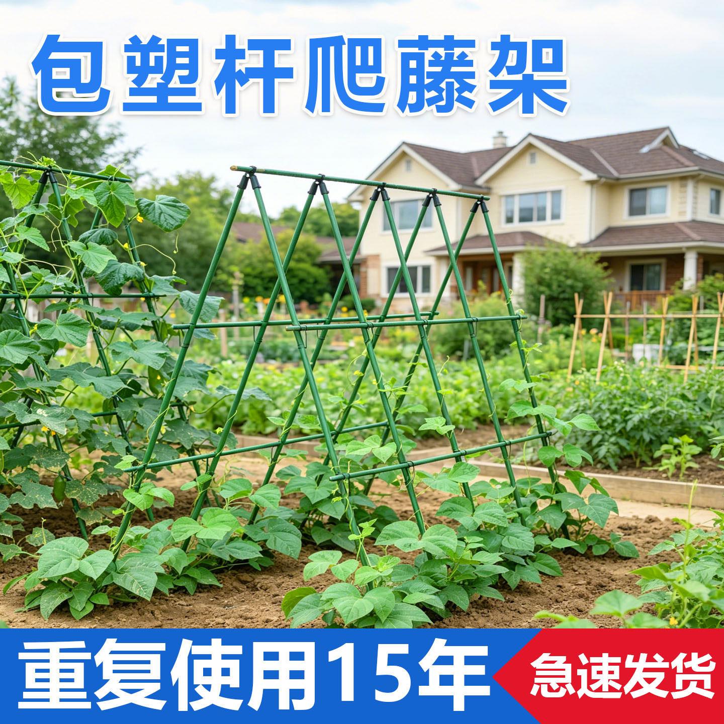 黄瓜爬藤架搭豆角架杆楼顶种菜架子番茄丝瓜支伸缩杆蔬菜攀爬架家