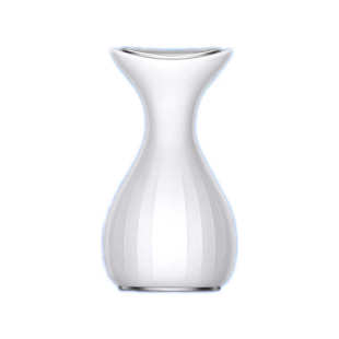 Face Rejuvenation Massager Skin Device Sculpting Neck