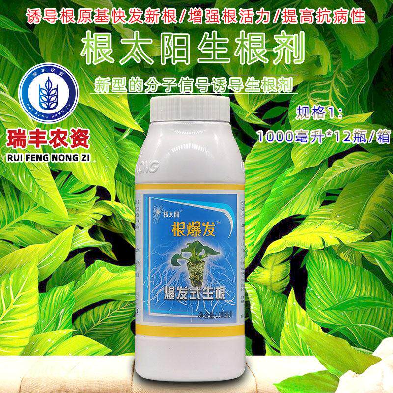 根太阳 根爆发 花卉瓜蔬生根剂增强根系活力促根壮根营养液1000ml