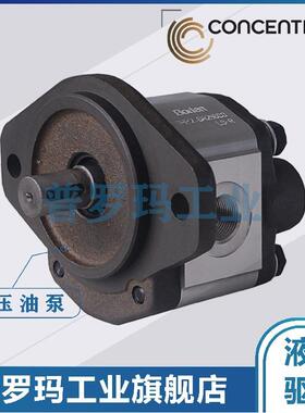 德国CONCENTRIC齿轮泵WP15A1B440R14RB151N WP15A1B500R14RB151N