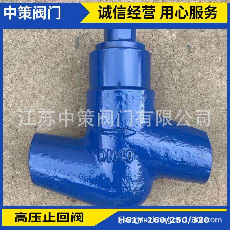 H61Y-250P不锈钢电站升降式止回阀高温高压止回阀H61Y-250V