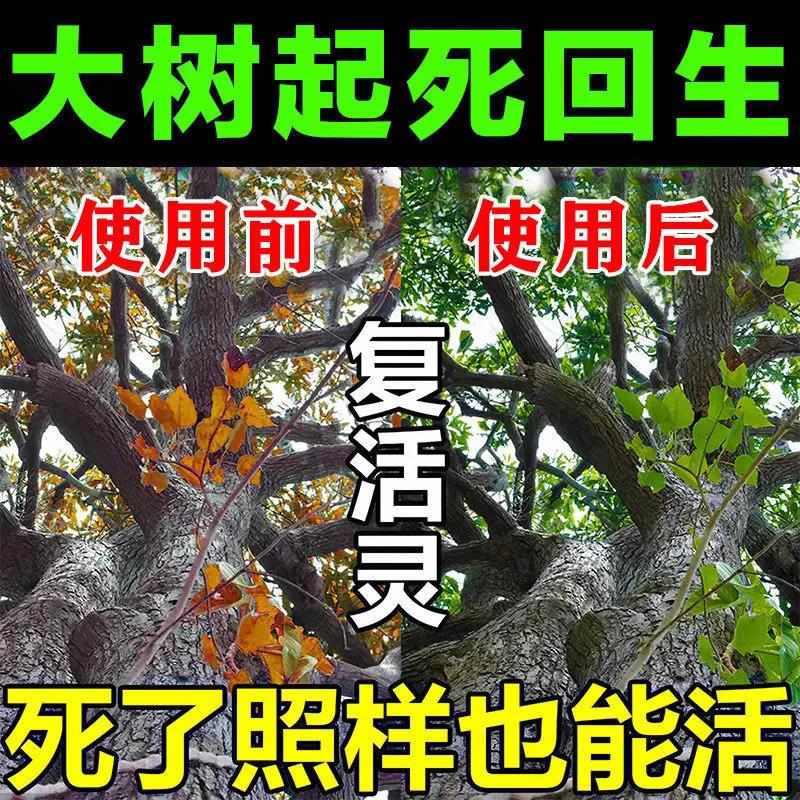 大树生根药水复活液植物枯生根剂生根壮苗剂救树药果树成活营养液
