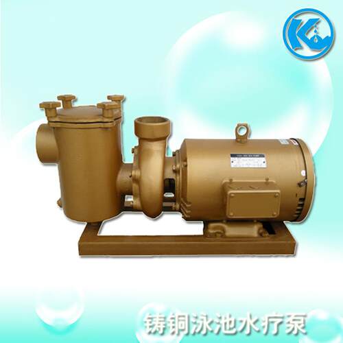 泳池水泵高效大流量泳池水疗按摩泵 5-15匹380V铸铜水池循环泵