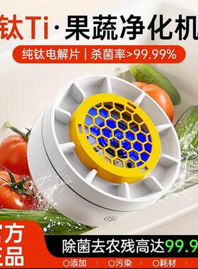 全自动果蔬食材净化机钛片果蔬清洗机器多功能水果肉类洗菜机家用