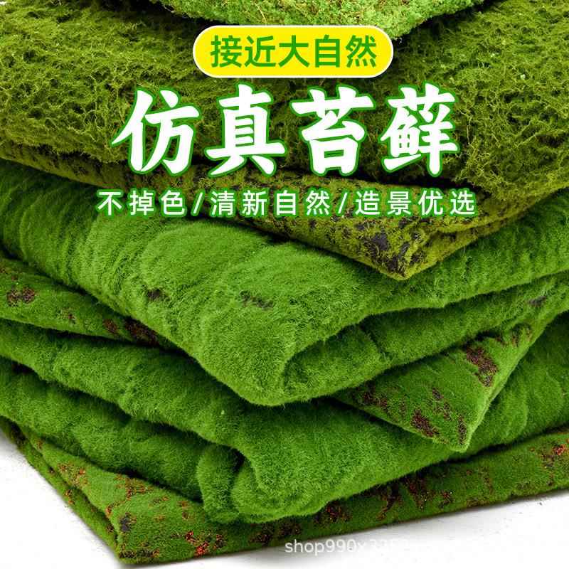 仿真苔藓青苔人造草坪绿植物墙盆景橱窗微景观假苔藓造景装饰铺面