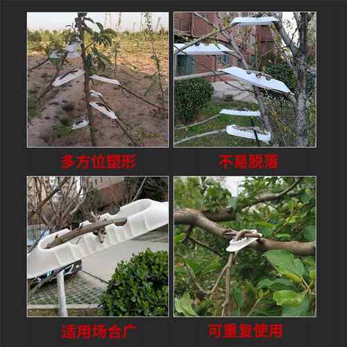 村郎果树压枝器定型器塑料一拉器枝0212桃中树弯枝器便携通用别枝