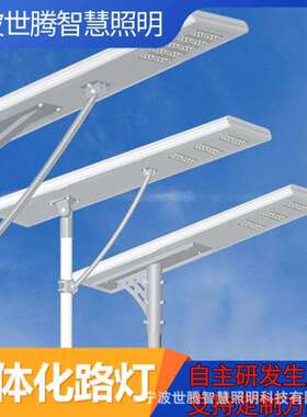 一体化路灯厂家直销集成60瓦100W一体化LED灯市政用