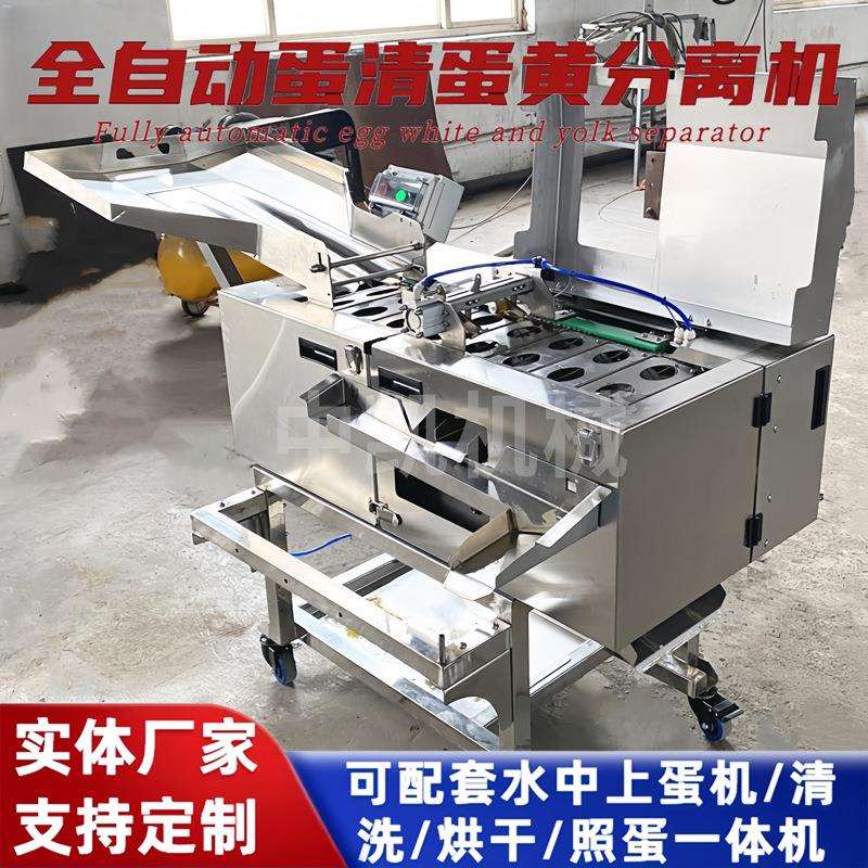 蛋清蛋黄分离机 蛋糕烘焙用打蛋机 仿人工双排打蛋机全蛋液敲蛋机