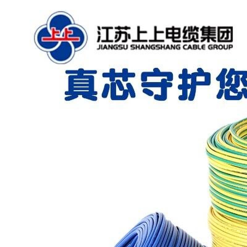 江苏上上电缆家装BV1.5/2.5平方阻燃ZC-BV4/6/BVR16国标铜芯电线