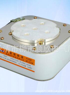 RSC-1000V/4000A P115N低压平板式快速熔断器 P型五孔