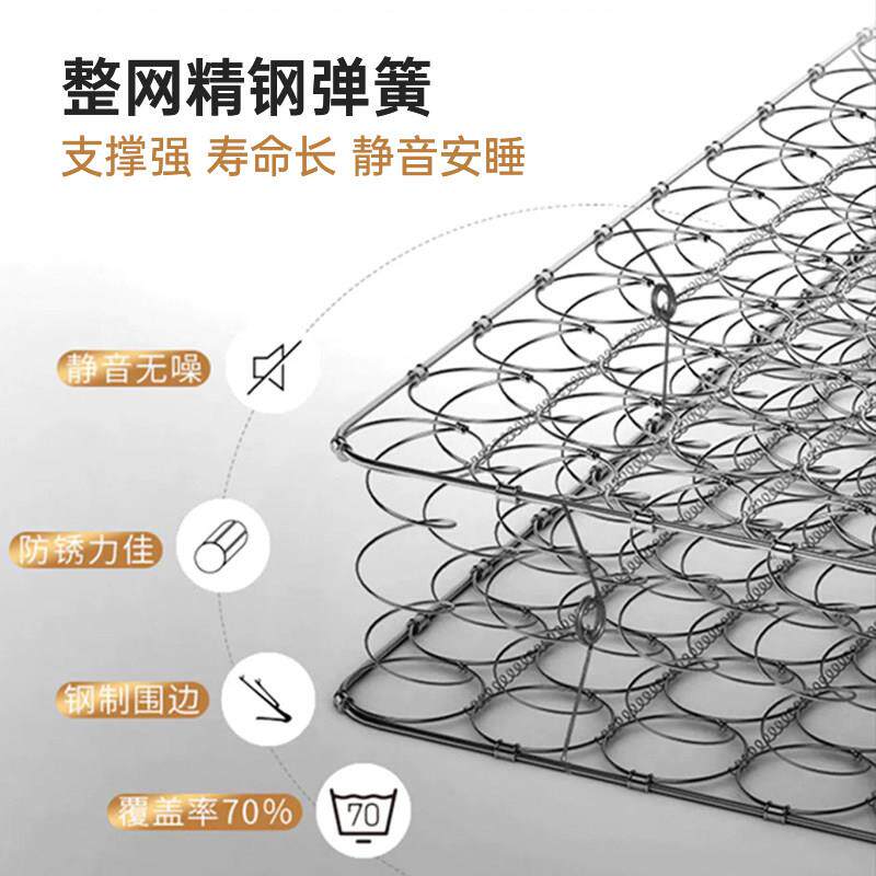 天坛席梦思床垫 22c厚软硬1.8米1.W149-0045m米棕垫 弹两簧床垫云