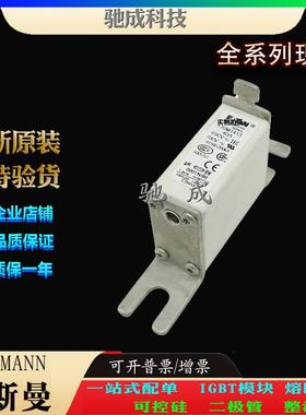 巴斯曼170M1413 170M1414 170M1415 原装进口直销价优 快速保险丝