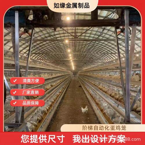 全自动阶梯蛋鸡笼镀锌背负式喂料机自动捡蛋机自动清粪养鸡设备