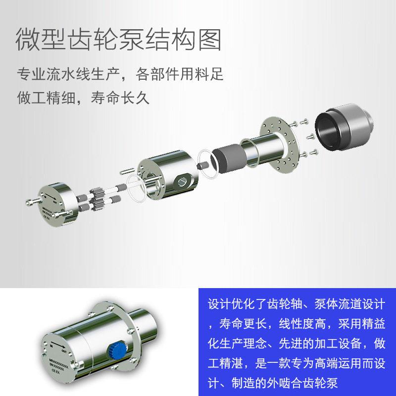 微型齿轮泵德斯威压差无脉冲小型泵长寿命工业级