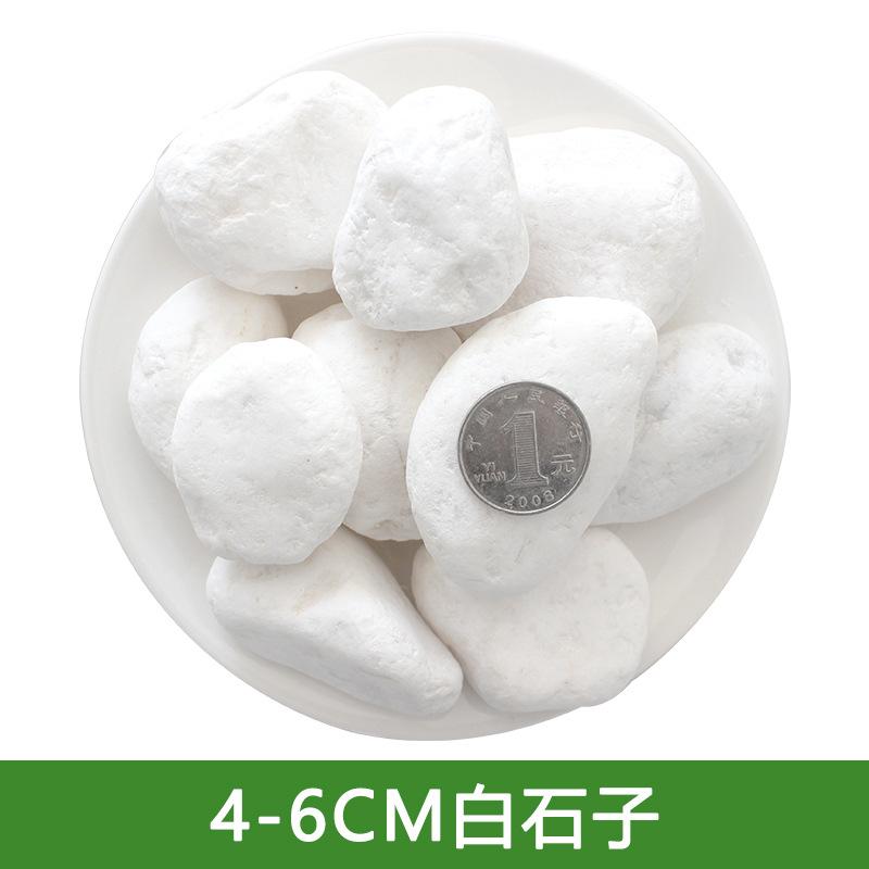 鹅卵石白色石子石子石头石头粗沙