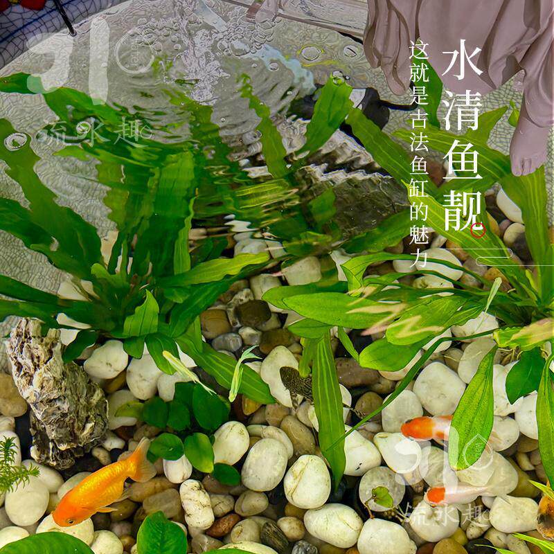 流水趣陶瓷古法鱼缸流水摆件循环水流水器睡莲缸荷花缸老式大水缸